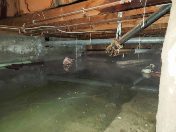 Best Water damage restoration near me  in Pymatuning Central, PA