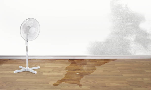 Best Water damage restoration near me  in Pymatuning Central, PA