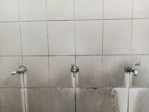 Best Mold removal after water damage  in Pymatuning Central, PA